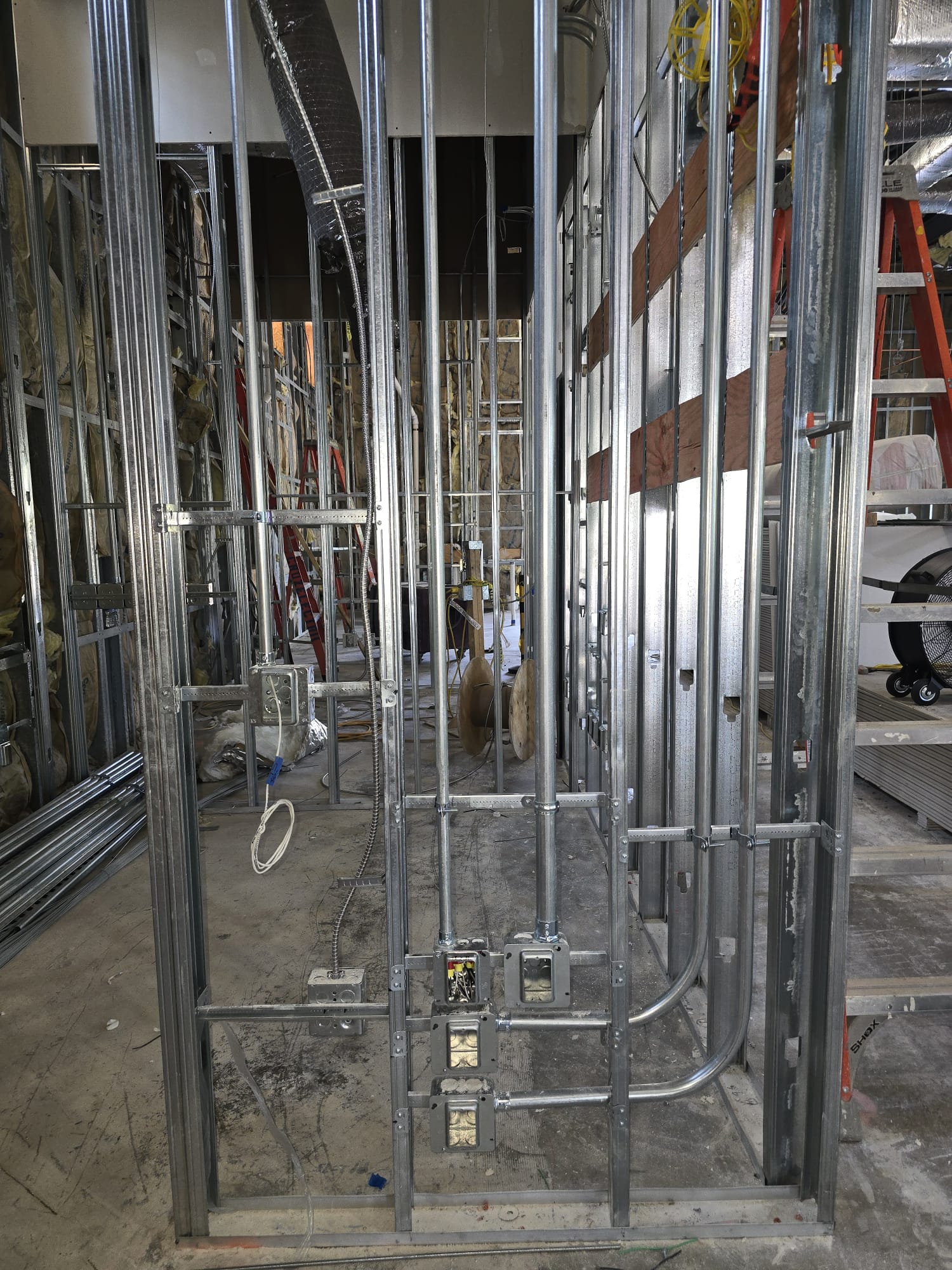 WhatsApp Image 2025-08-01 at 10.59.39 PM