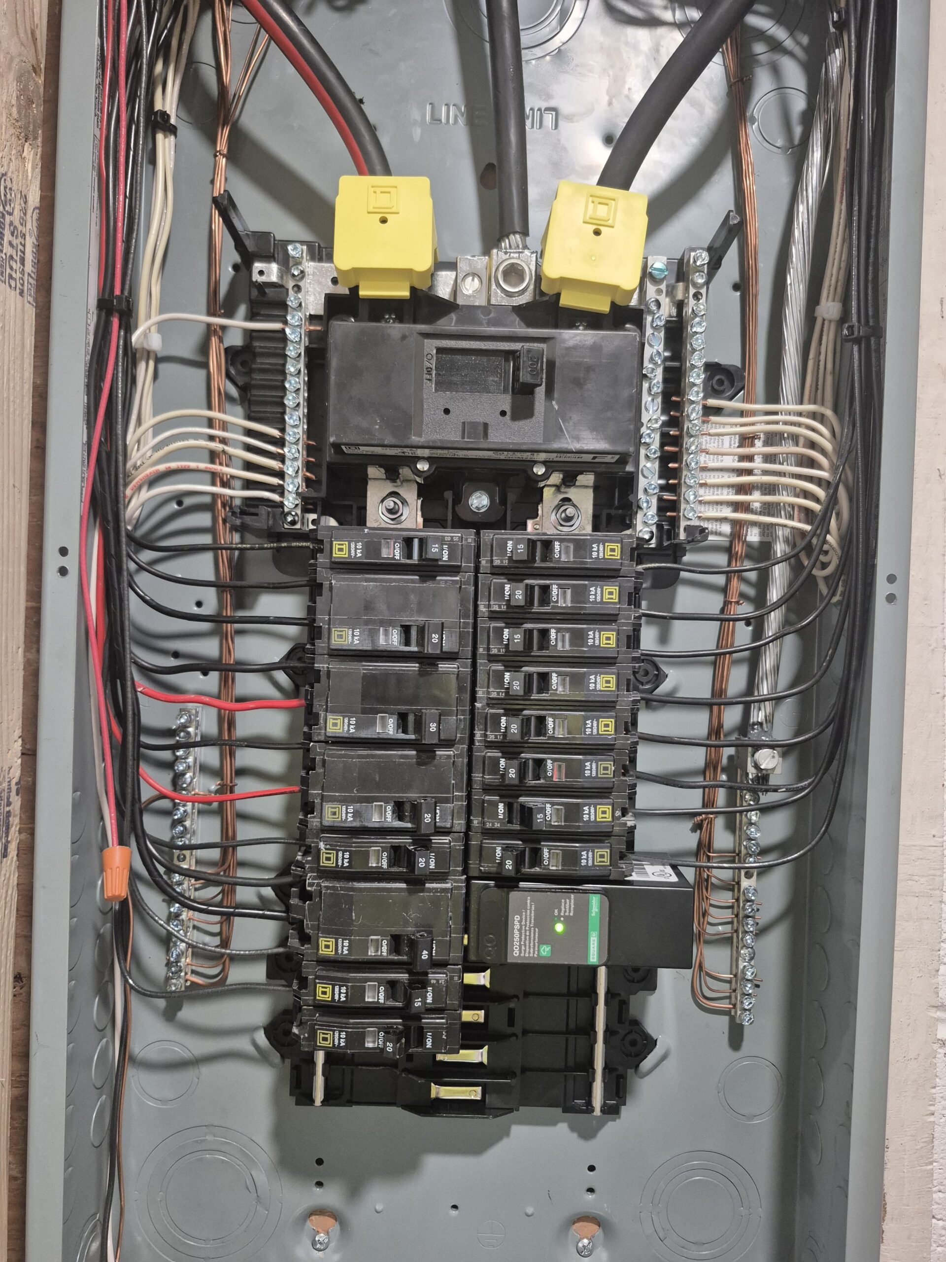 WhatsApp Image 2025-08-01 at 10.59.59 PM