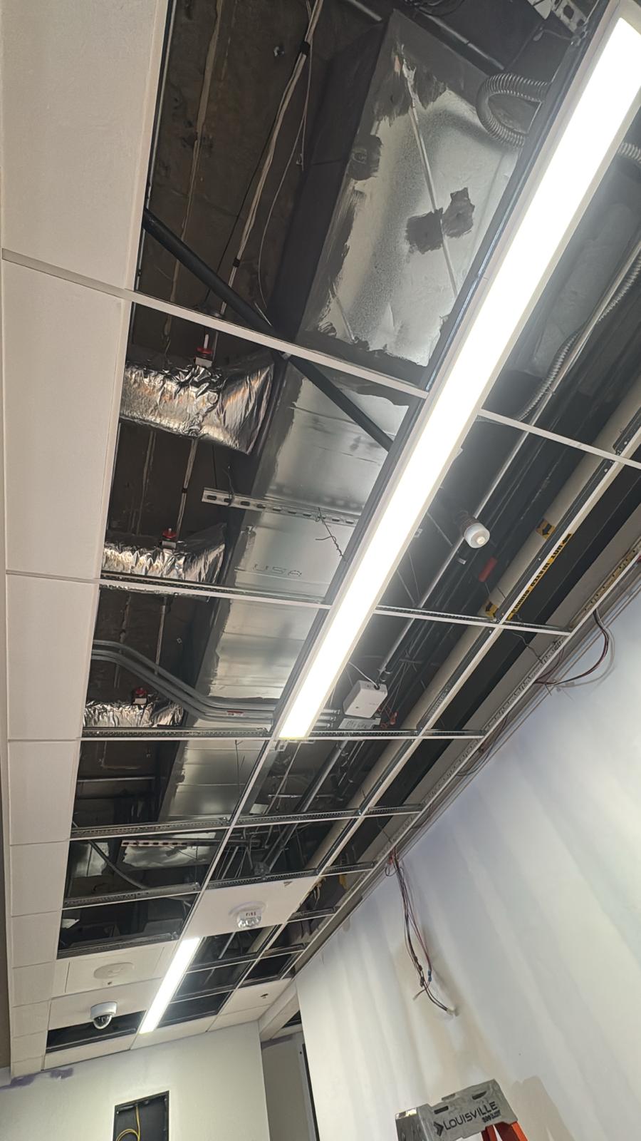 WhatsApp Image 2025-08-01 at 11.00.05 PM