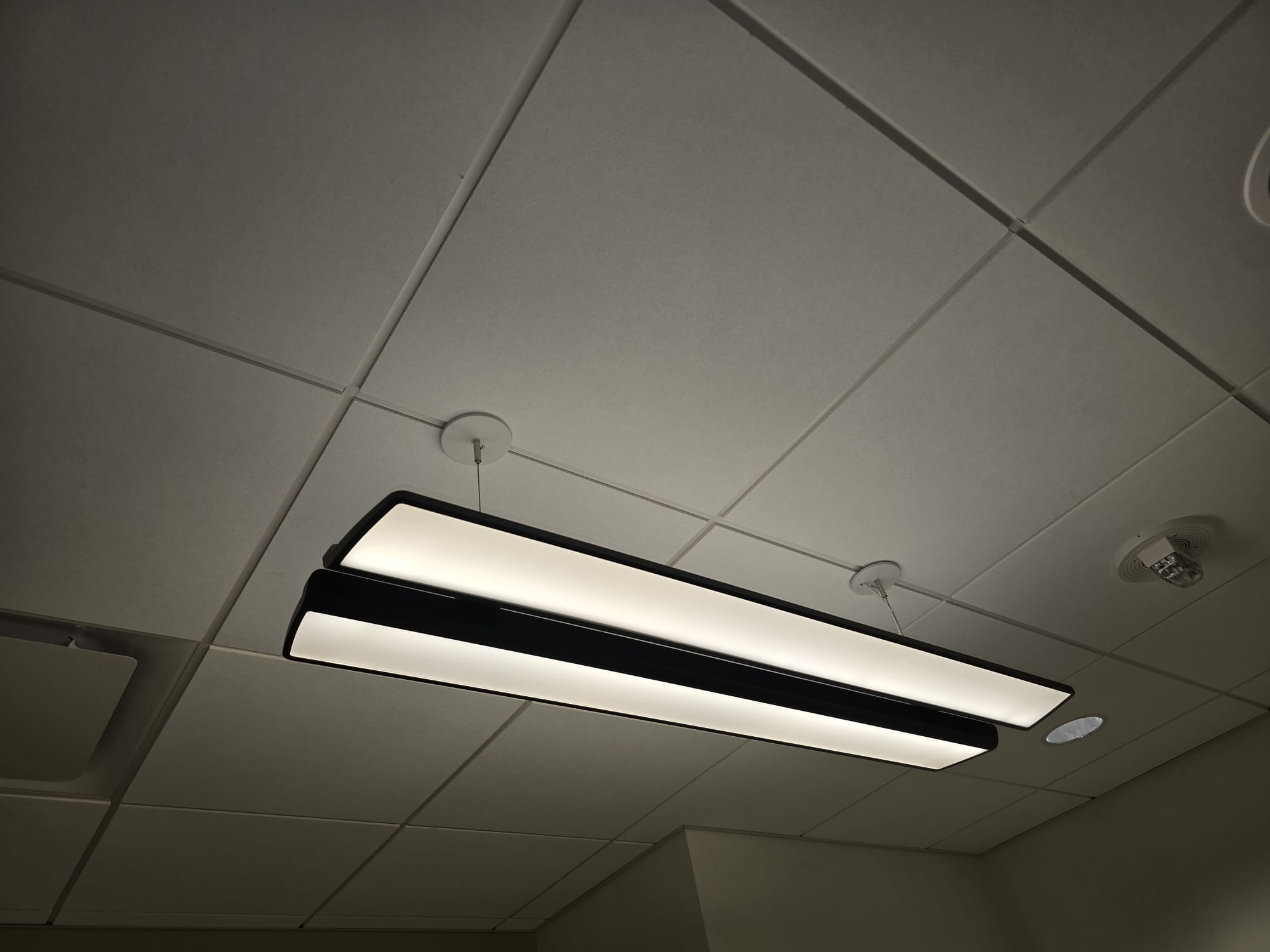 WhatsApp Image 2025-08-01 at 11.00.09 PM